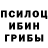 Псилоцибиновые грибы Magic Shrooms Cari Cooper