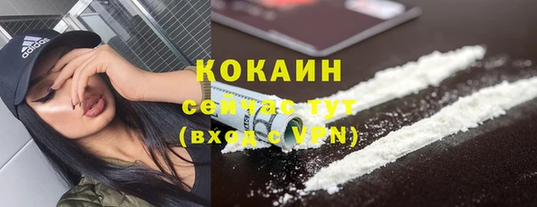 дмт Лиски