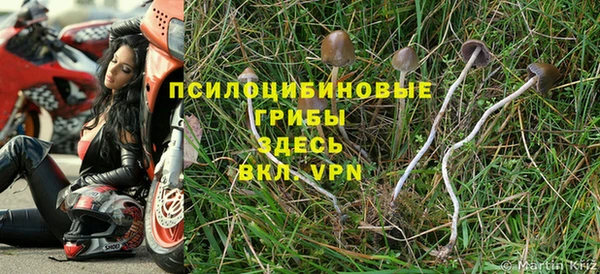таблы Липки
