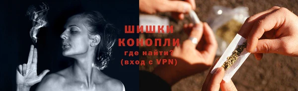 дмт Лиски