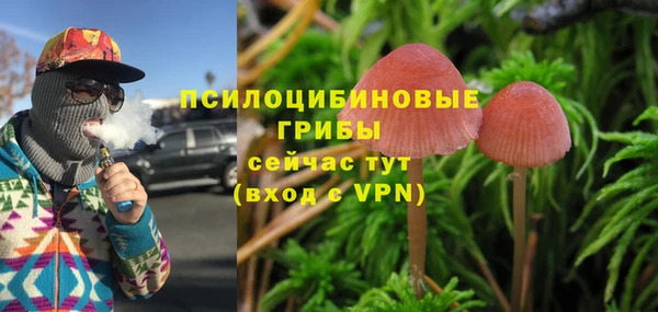 2c-b Лихославль
