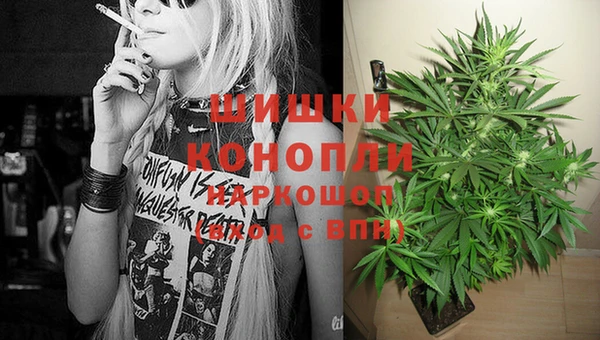 дмт Лиски